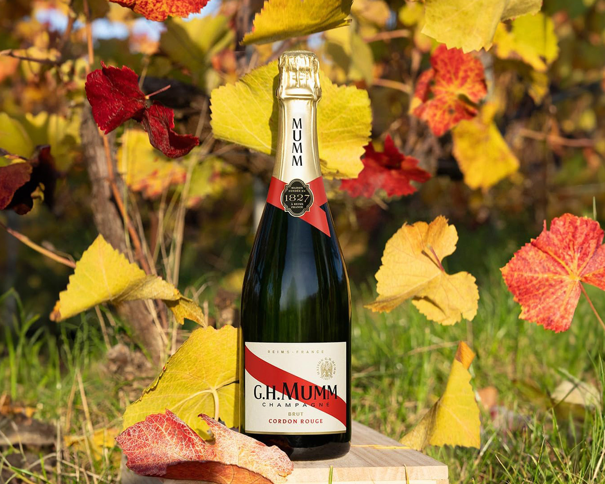 GMUMM CORDON ROUGE